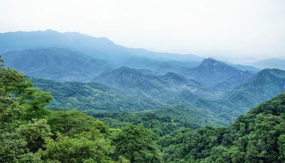 梦见大山塌了什么意思