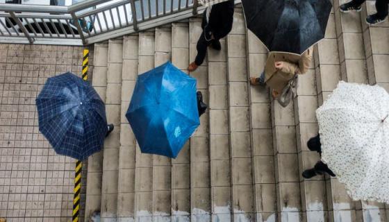 梦见下雨打伞