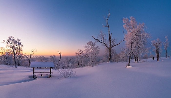 梦见厚厚的积雪中行走