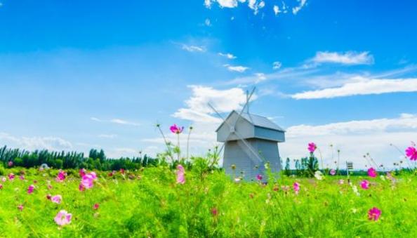 梦见花花草草是什么意思