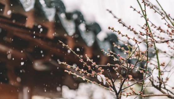 梦见下雪花飘飘是什么预兆