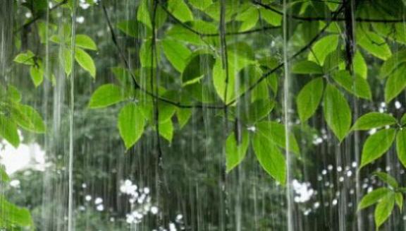 梦下雨是什么征兆