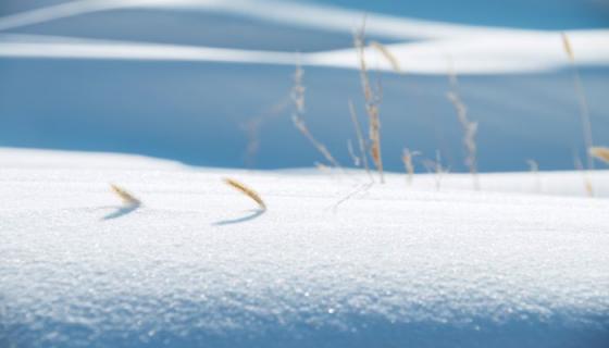 梦见地上好厚的雪是什么意思