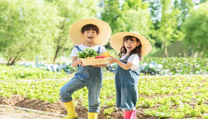 梦见摘蕨菜是什么兆头