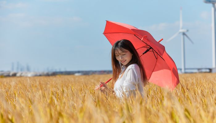 梦见红伞是什么意思 梦见红伞有什么预兆