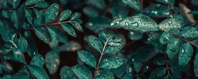 梦见天下雨了是什么意思