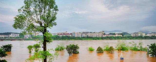 梦见下雨发大水路被淹什么意思