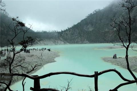 梦见臭水池好不好